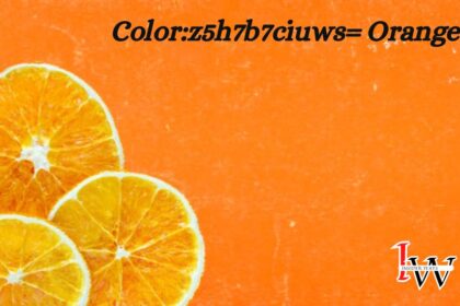 Color:z5h7b7ciuws= Orange