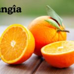 Orangîa