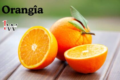 Orangîa