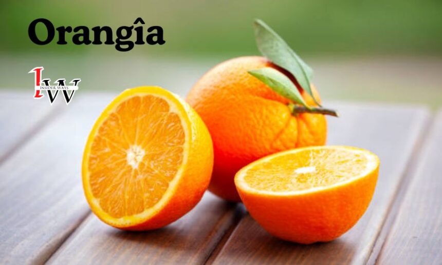 Orangîa